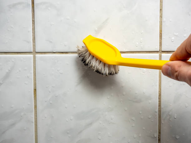 Certified Mold Removal in Oak Harbor, OH