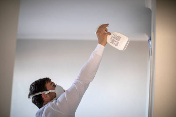Best Attic Mold Removal  in Oak Harbor, OH